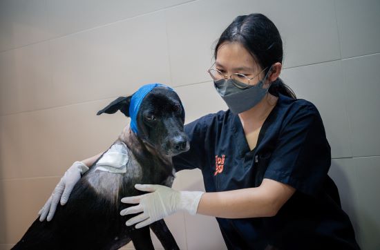 nueng and dr hope