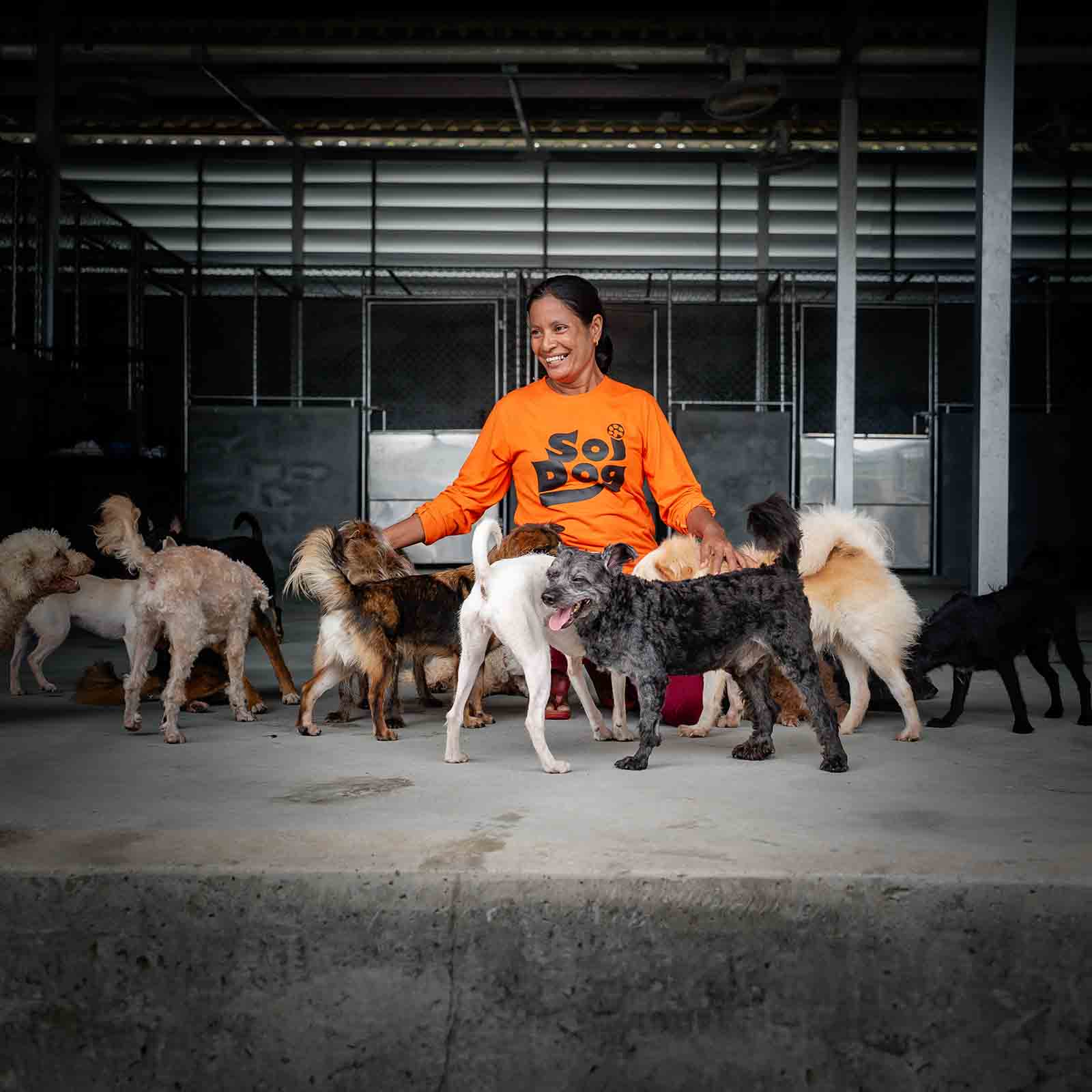 small dogs with carer