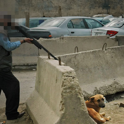 dog about to be shot in morocco