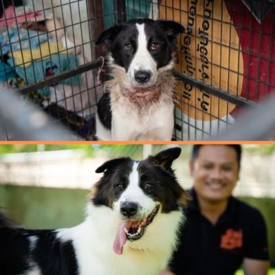 walker before and after