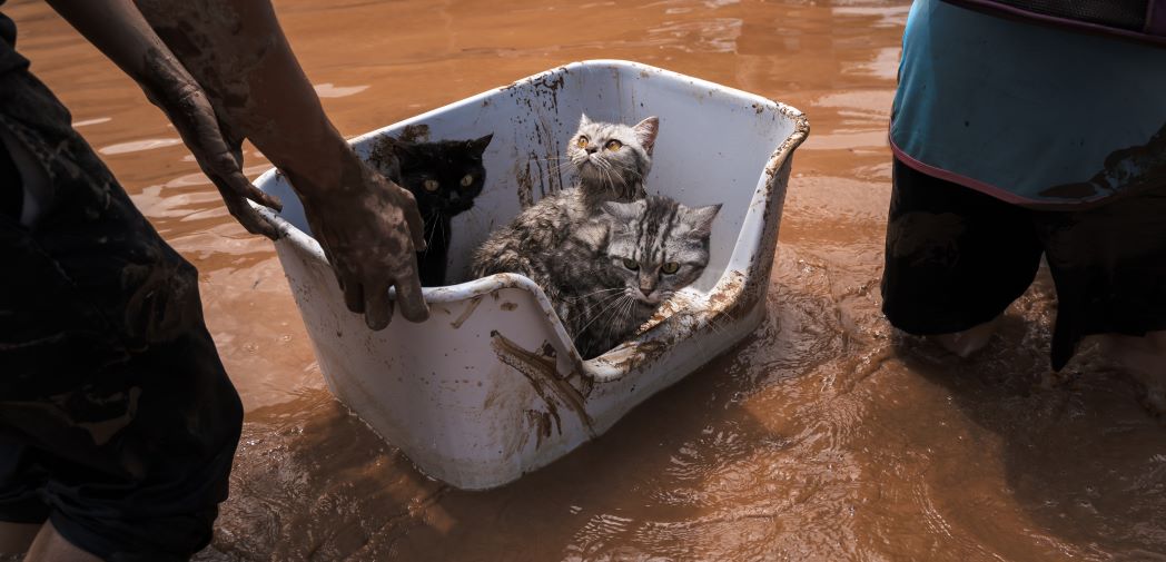 floods chiang rai