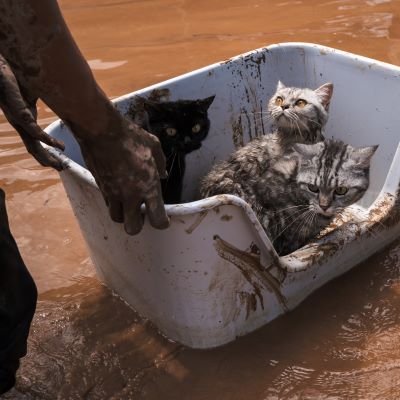 floods chiang rai