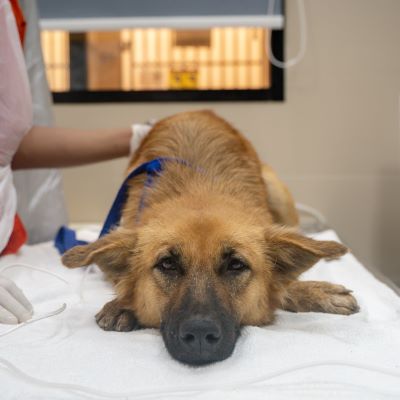 isamut in hospital