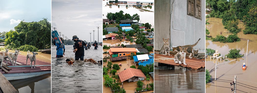 Flood Thailand