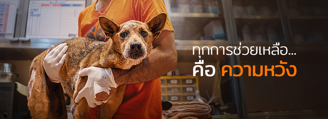 Res_ Header Landing page TH1
